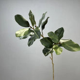 Branche de Magnolia Artificiel - 110 cm