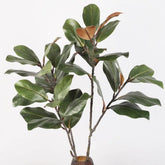 Branche de Magnolia Artificiel - 110 cm