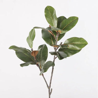 Branche de Magnolia Artificiel - 110 cm