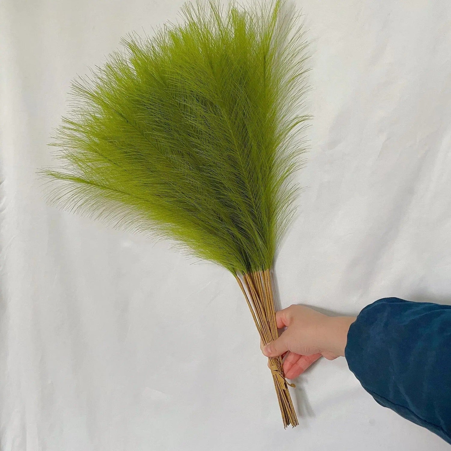 Branche Herbes De Pampa Séchées Naturel - 55 cm