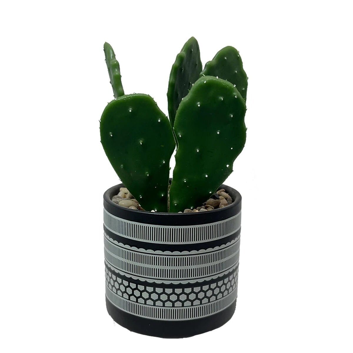 Cactus Artificiel Décoratif Intérieur - Hauteur 21 cm