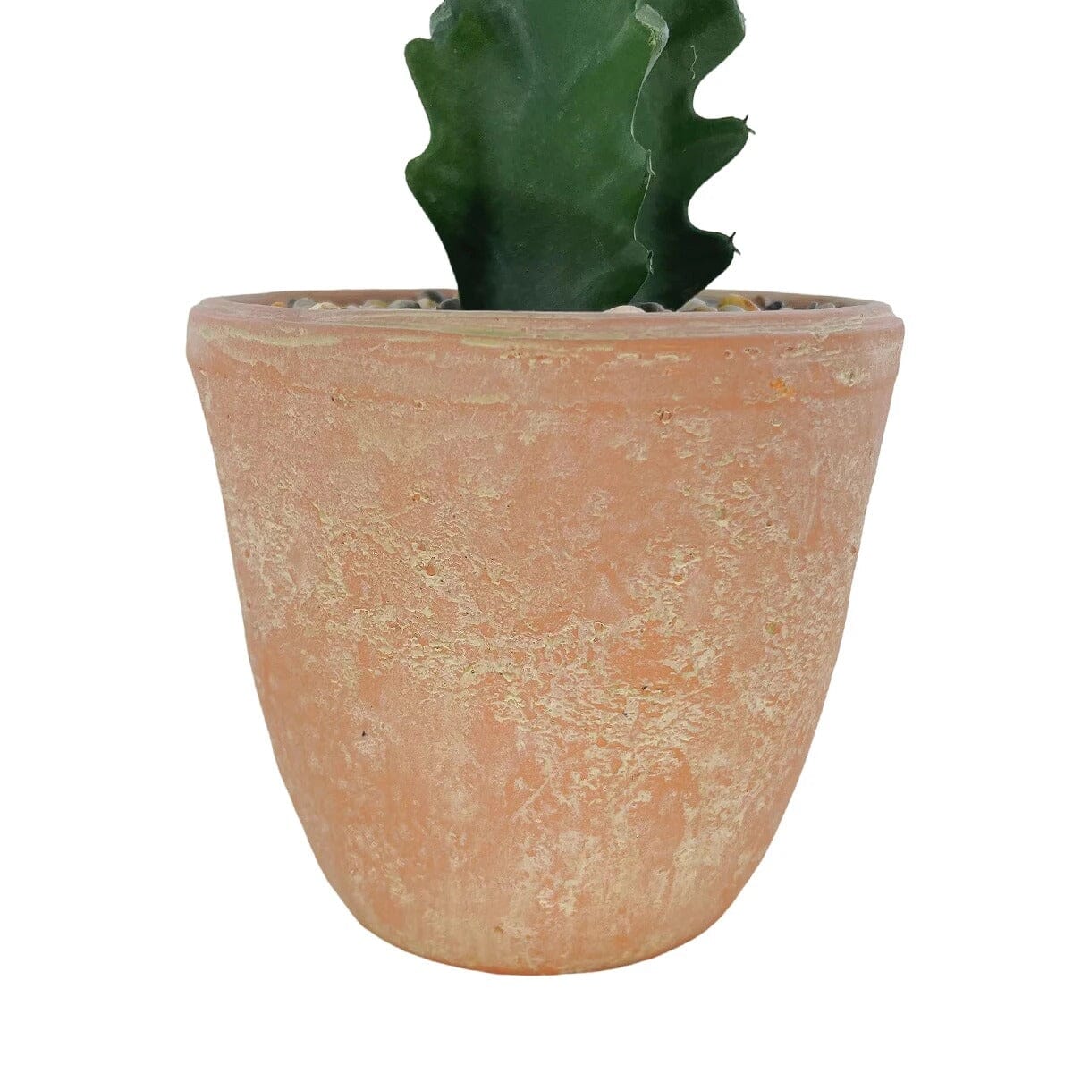 Cactus Artificiel Extérieur et Intérieur Haut de Gamme - 73,66 cm