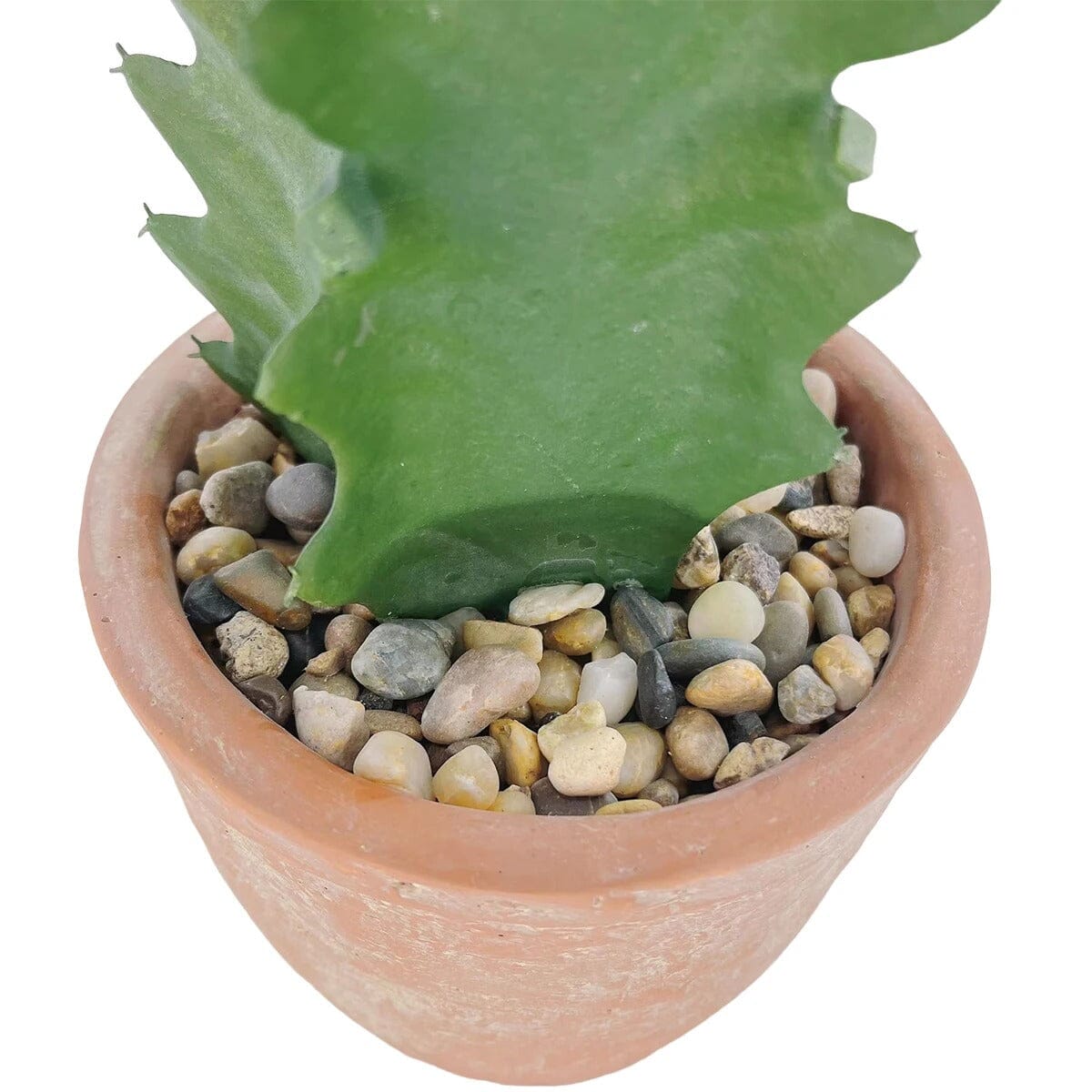 Cactus Artificiel Extérieur et Intérieur Haut de Gamme - 73,66 cm