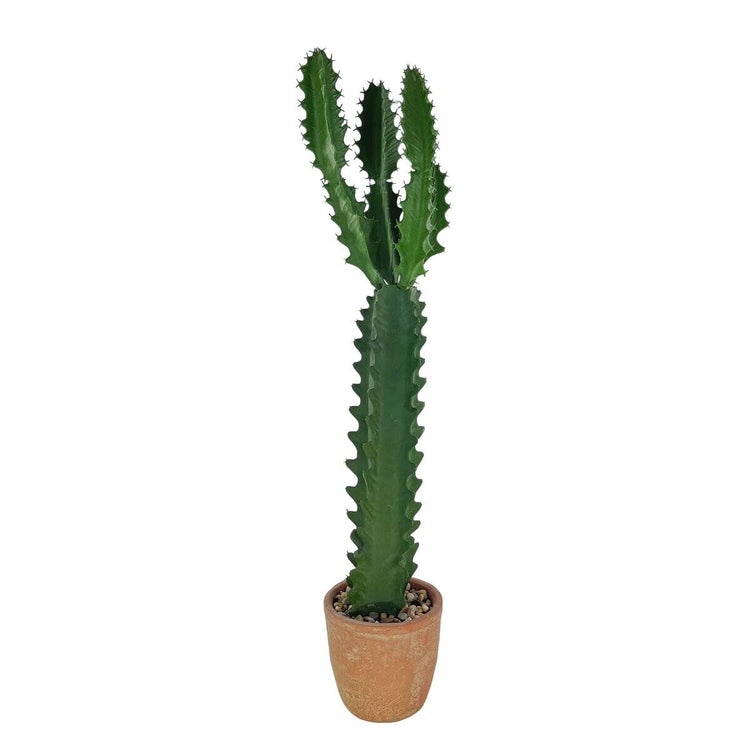 Cactus Artificiel Extérieur et Intérieur Haut de Gamme - 73,66 cm