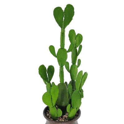 Cactus Artificiel Haut de Gamme avec Pot - 75,56 cm