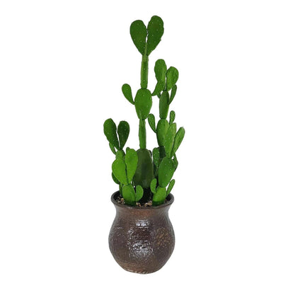 Cactus Artificiel Haut de Gamme avec Pot - 75,56 cm