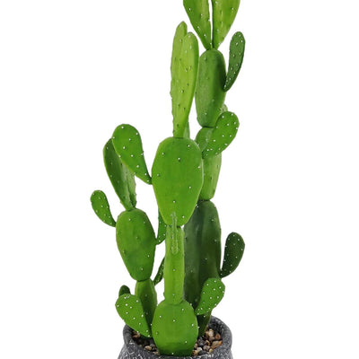 Cactus Artificiel Intérieur Réaliste - 60 cm