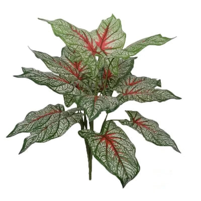 Caladium Artificiel - 50 cm