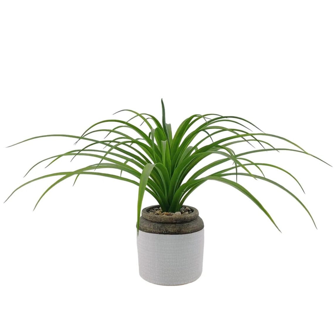 Chlorophytum Artificiel Haut de Gamme en Pot