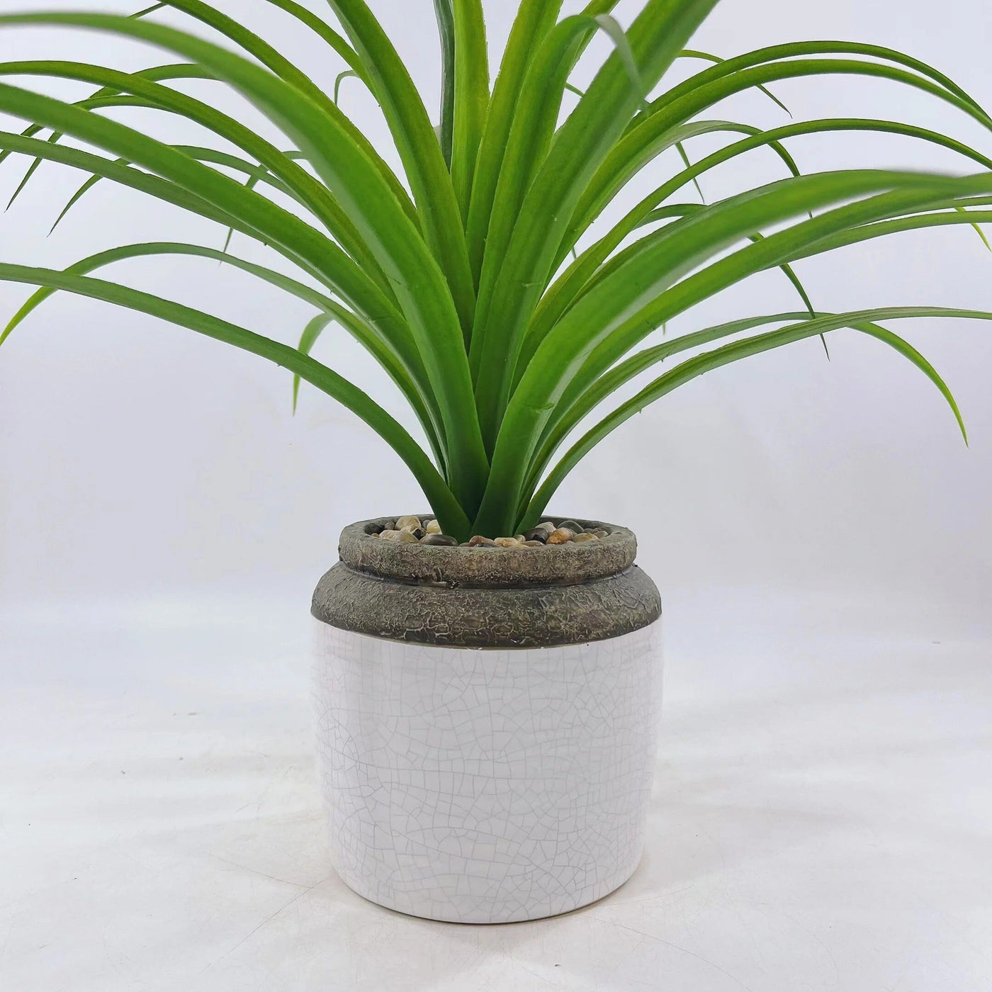 Chlorophytum Artificiel Haut de Gamme en Pot