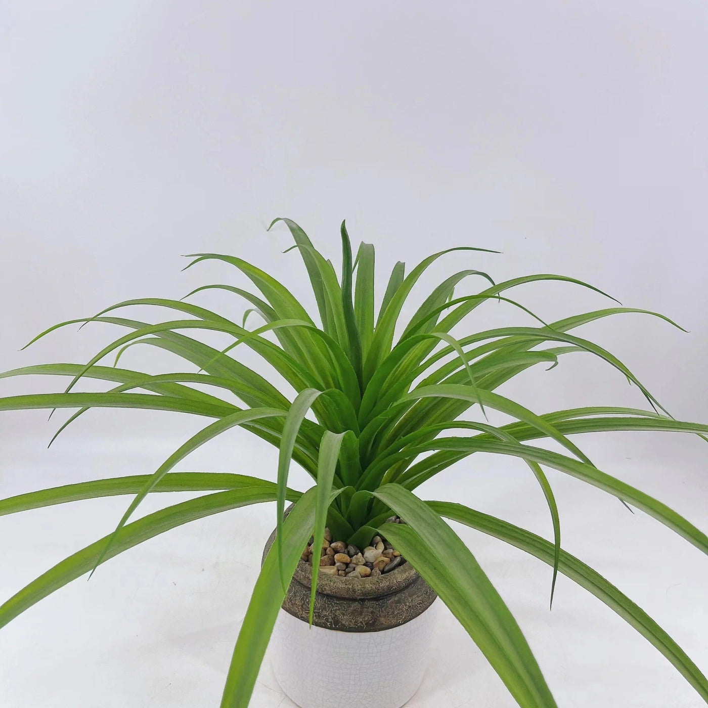 Chlorophytum Artificiel Haut de Gamme en Pot