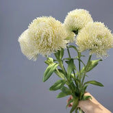 Chrysanthème Pompon Artificiel Haut de Gamme - 50 cm