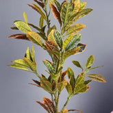 Croton Artificiel Vert et Jaune, 80 et 120 cm