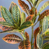 Croton Artificiel Vert et Jaune, 80 et 120 cm