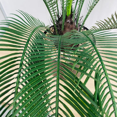 Cycas Artificiel à Grandes Palmes - 100 cm