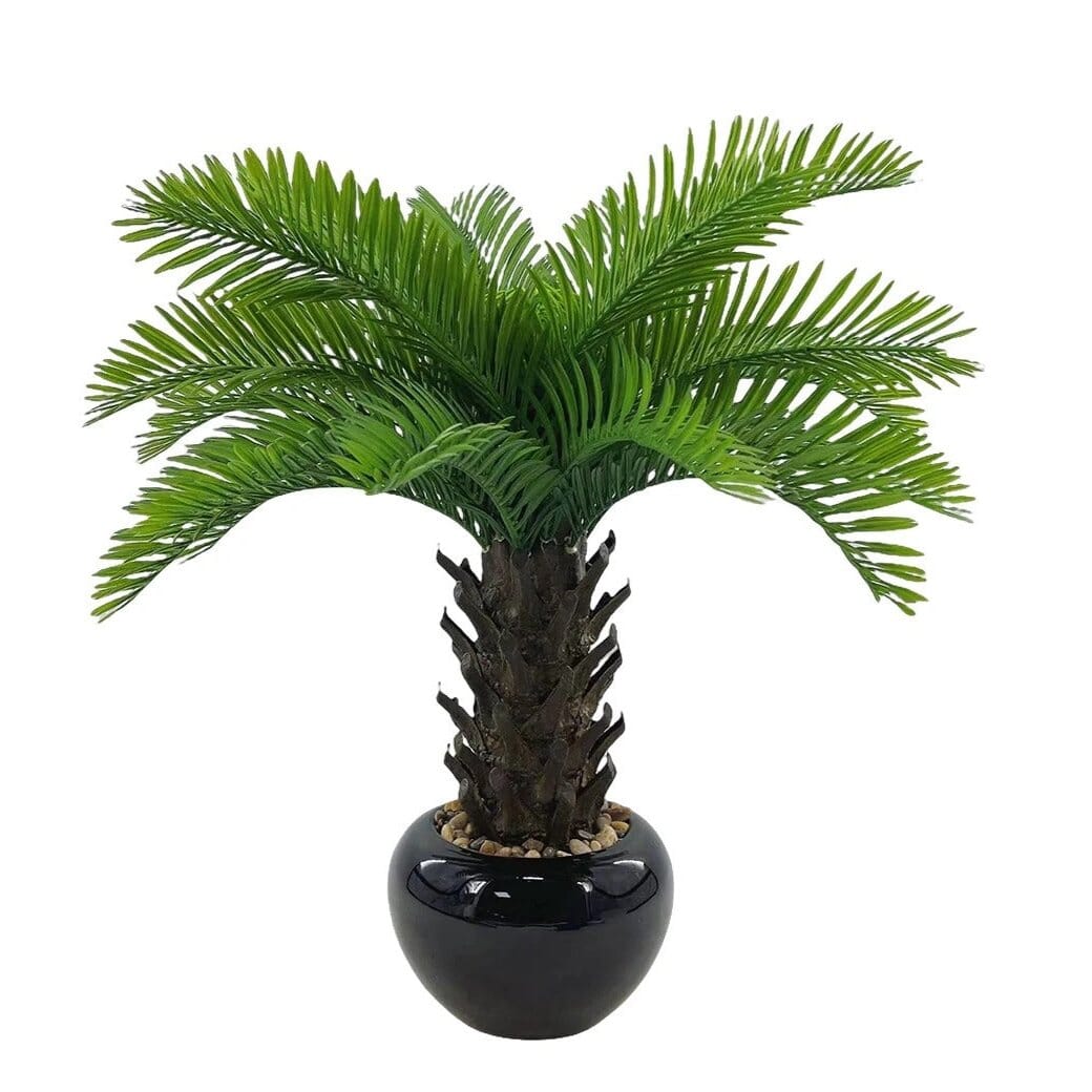 Cycas Artificiel Haut de Gamme (Palmier)