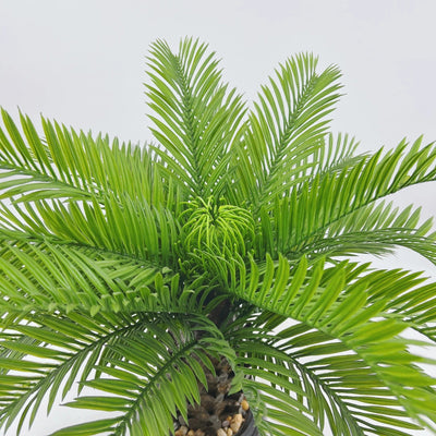 Cycas Artificiel Haut de Gamme (Palmier)