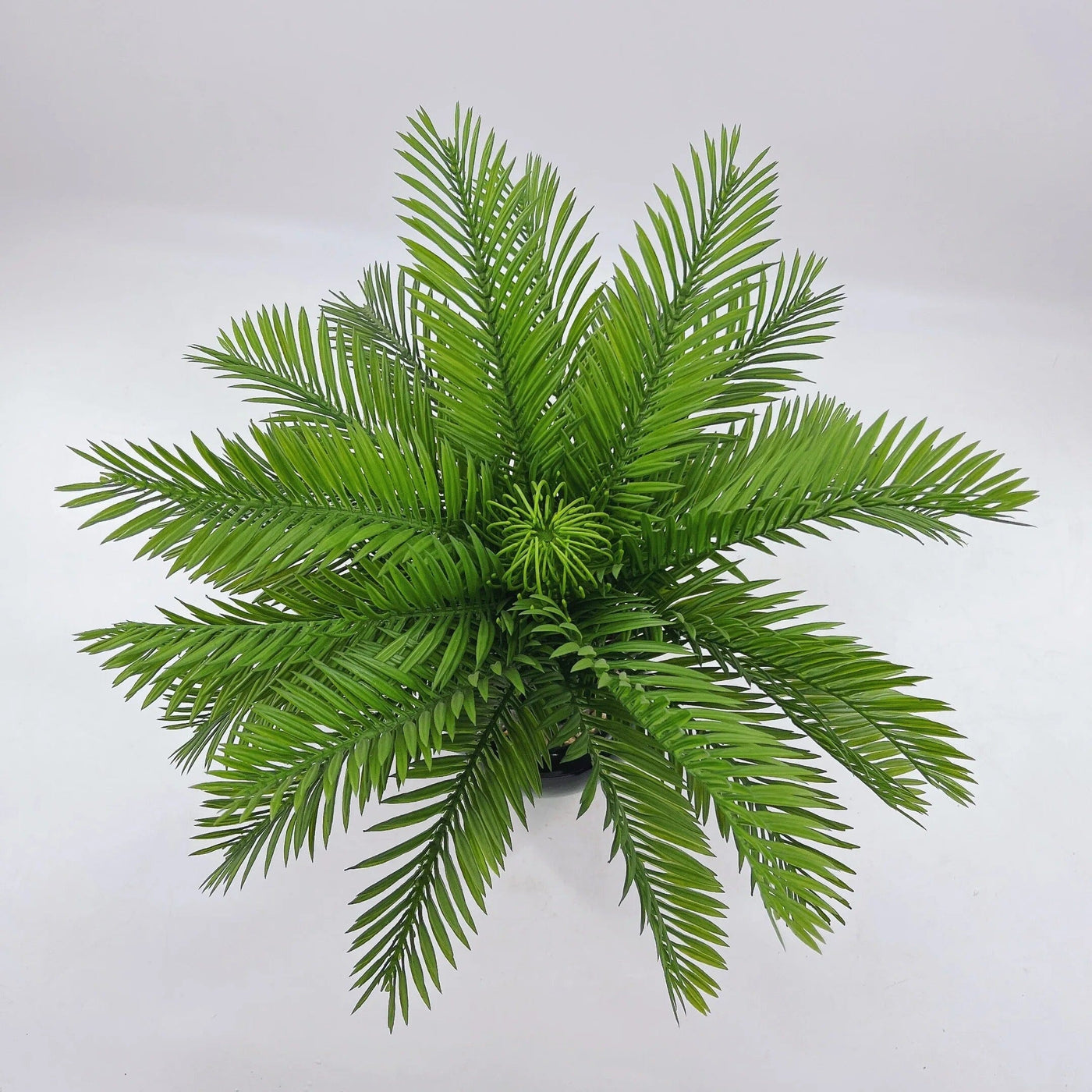 Cycas Artificiel Haut de Gamme (Palmier)