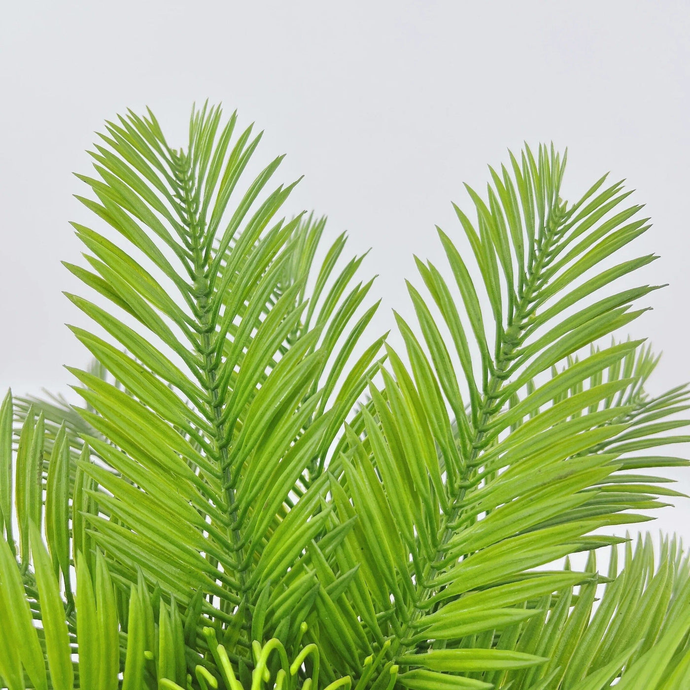 Cycas Artificiel Haut de Gamme (Palmier)