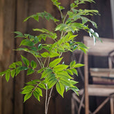 Ficus Artificiel (Branche)