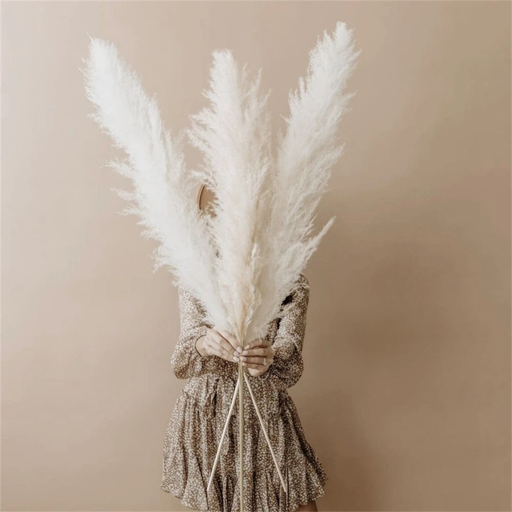 Pampas Séchées Grande Taille – Bouquet - 85 cm