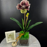 Orchidée Artificielle Paphiopedilum (48 cm) (Violet et Vert)