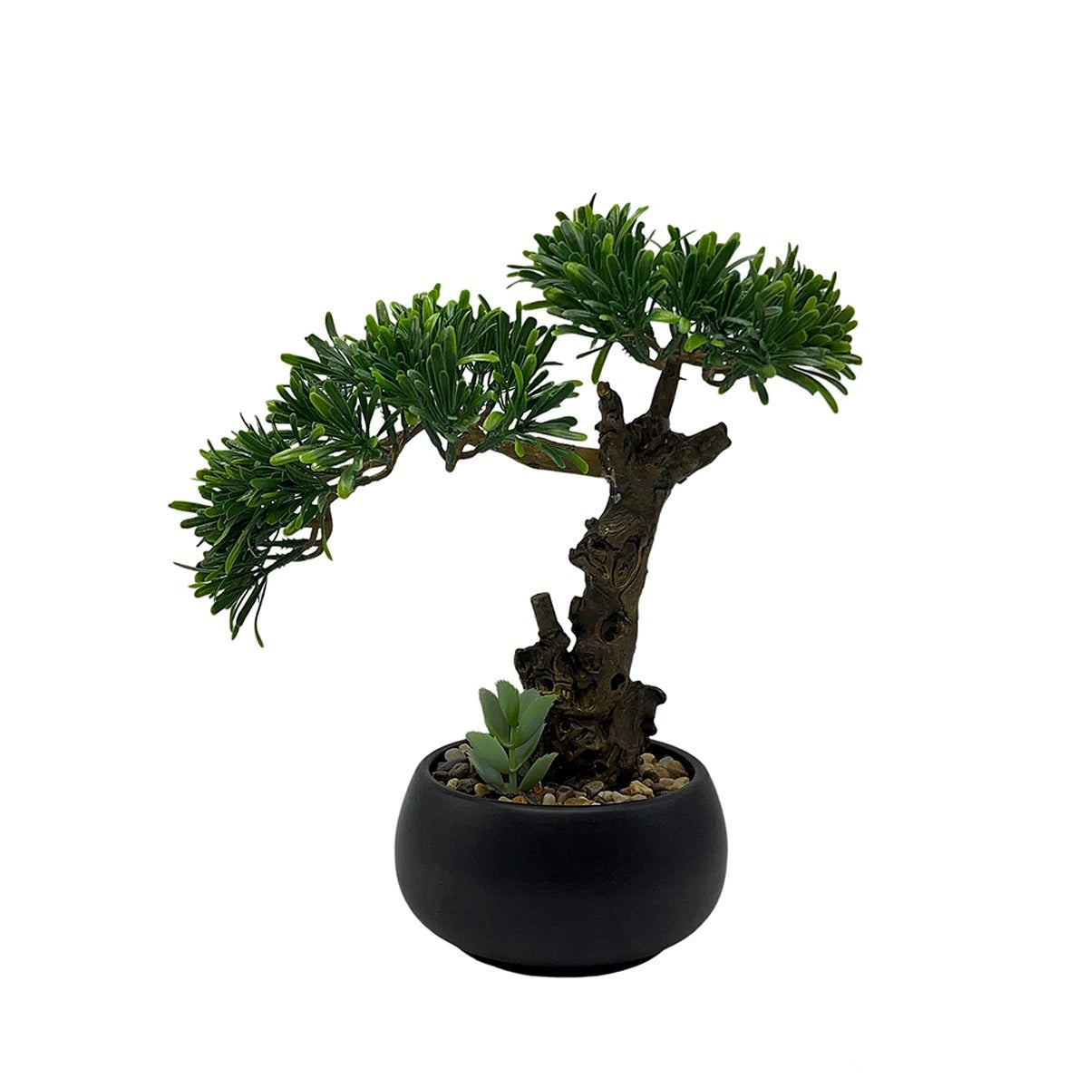 Bonsai Podocarpus artificiel (Pin des bouddhistes)