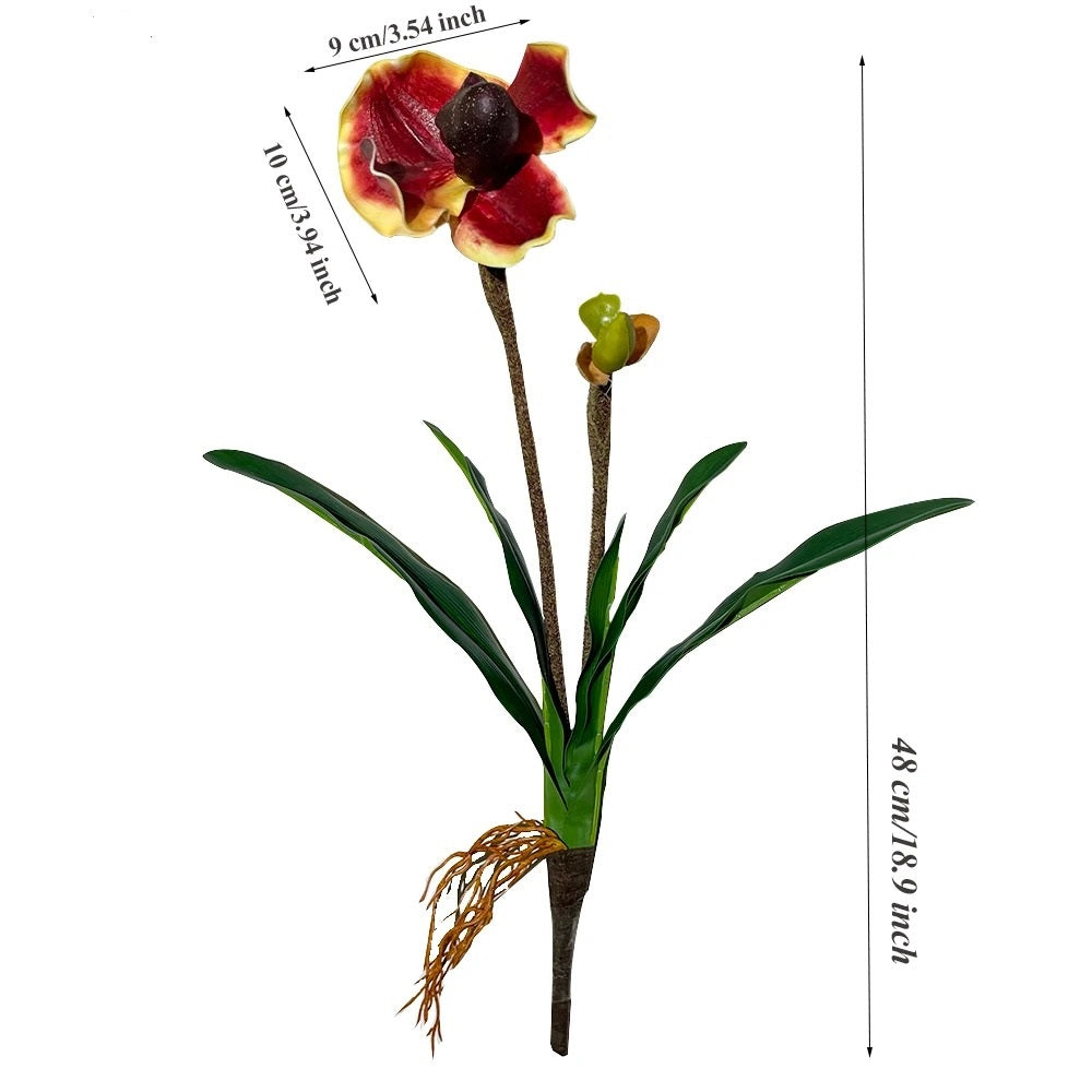 Orchidée Artificielle Paphiopedilum (48 cm) 