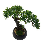 Bonsai Podocarpus artificiel (Pin des bouddhistes)