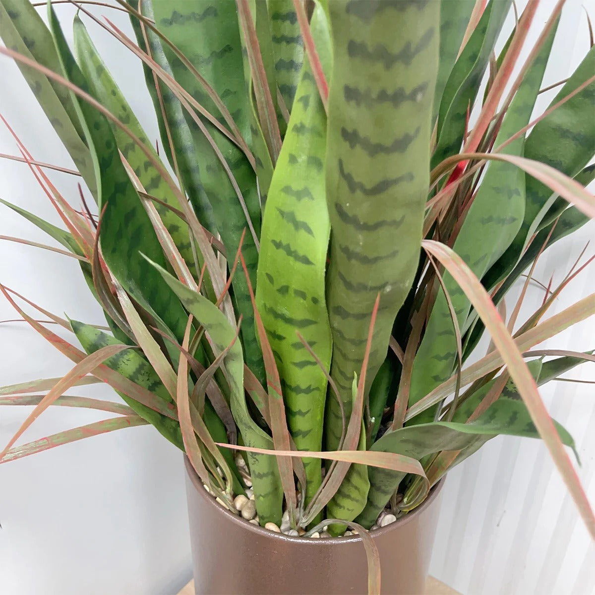 Plante Serpent (Sansevieria) Artificielle Haut de Gamme