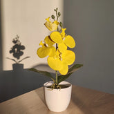 Fausse Orchidée Artificielle en Pot - 35 cm Jaune