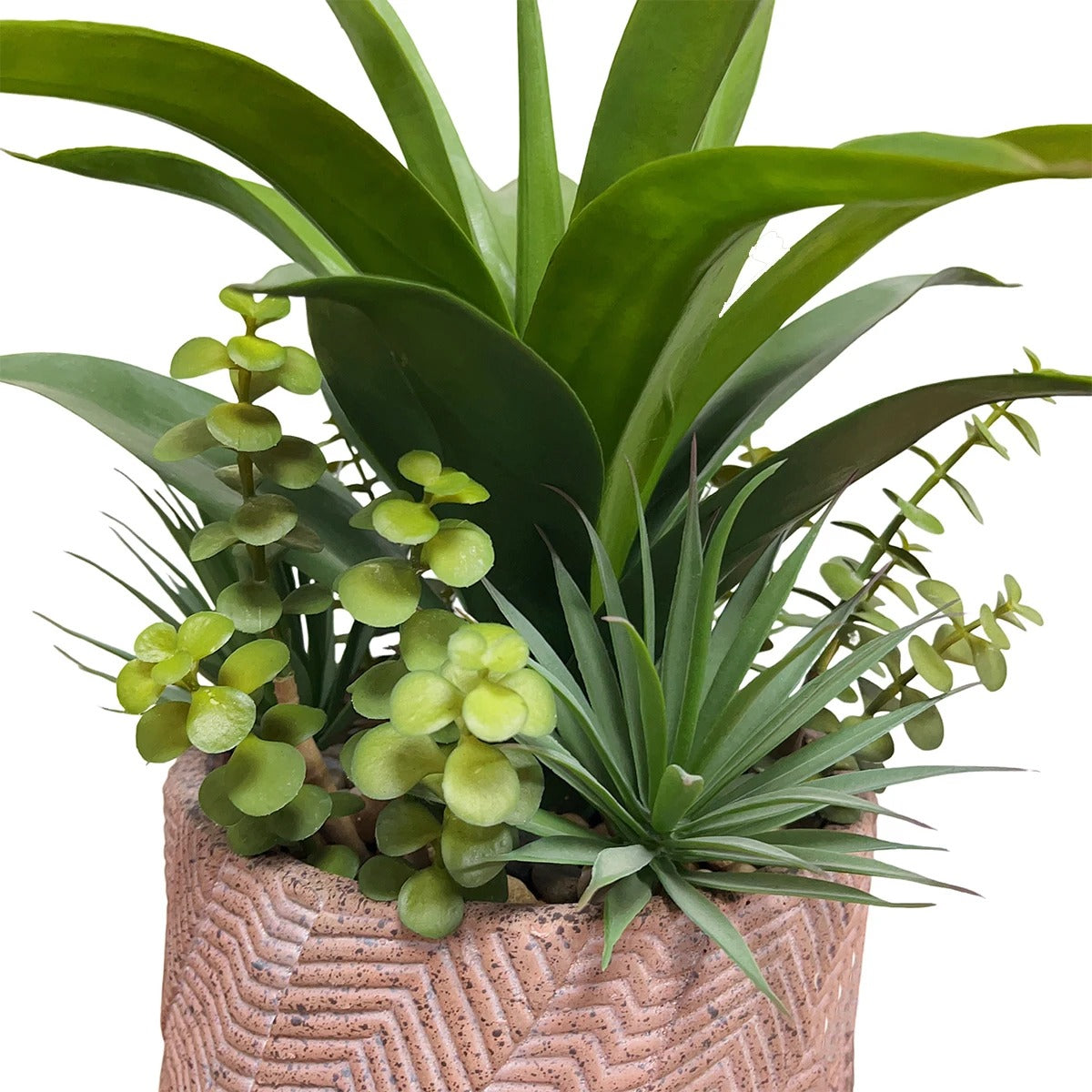 Agave Artificielle en pot avec Plantes Succulentes