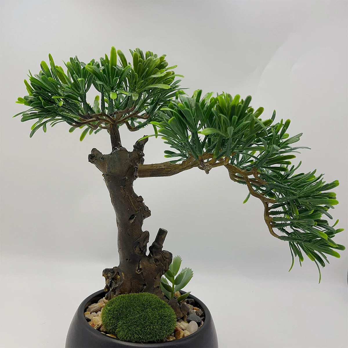 Bonsai Podocarpus artificiel (Pin des bouddhistes)