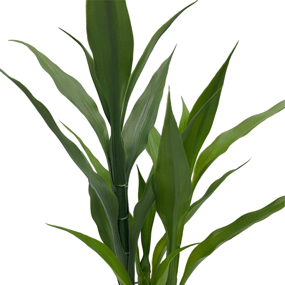 Plante Dracaena Artificielle en Pot Décoratif - 42 cm