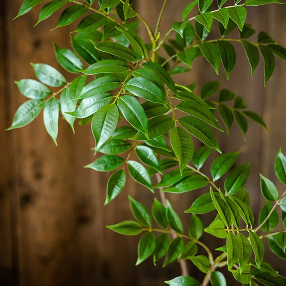 Ficus Artificiel (Branche)