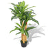 Dracaena Artificiel 100 cm en Pot