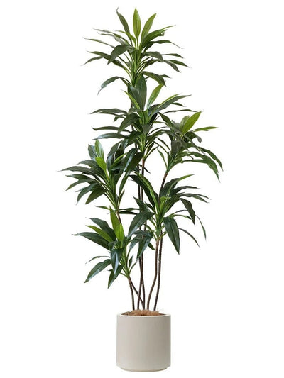 Dracaena Artificiel 150 cm – Plante Haut de Gamme