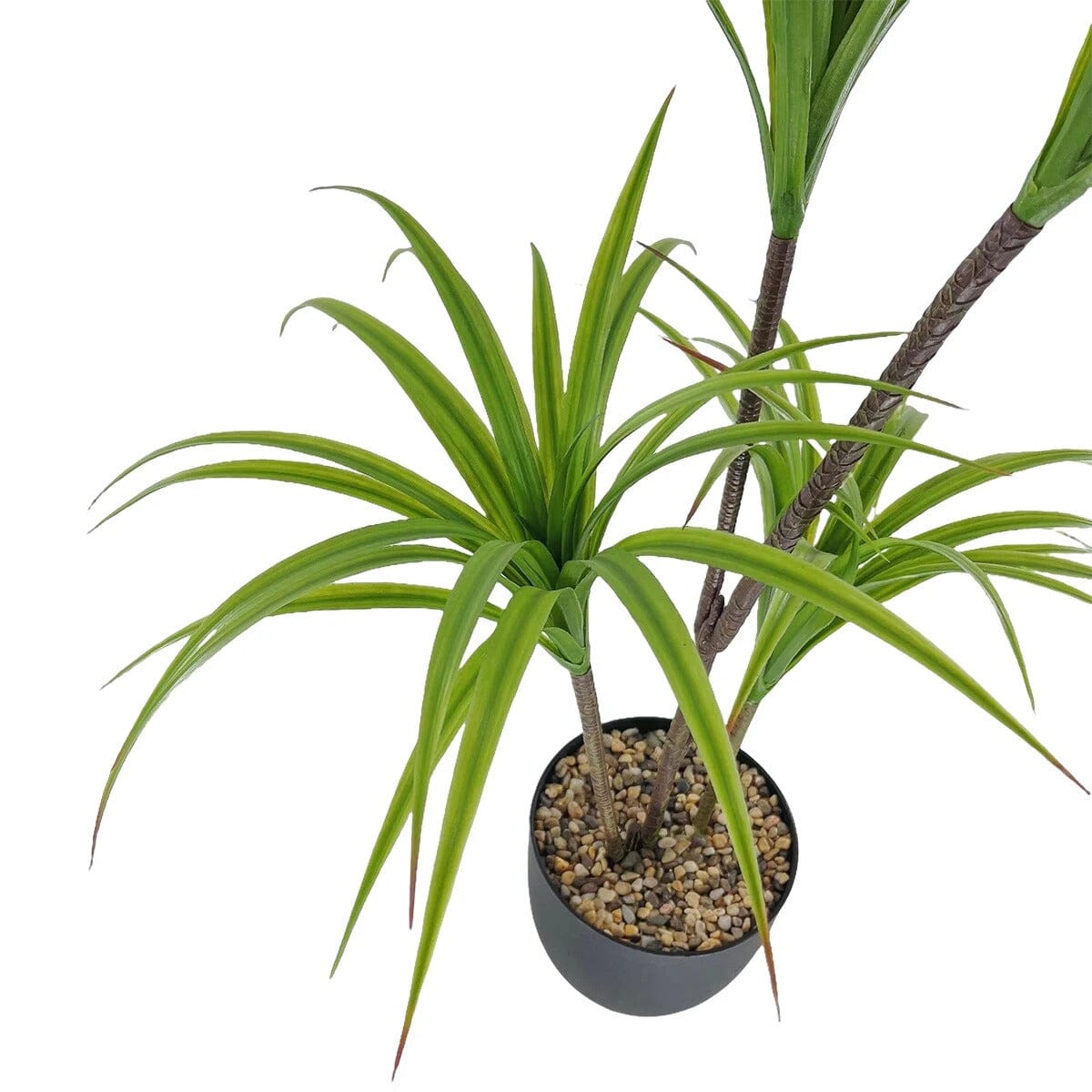 Dracaena Marginata Artificiel Haut de Gamme – 90 cm