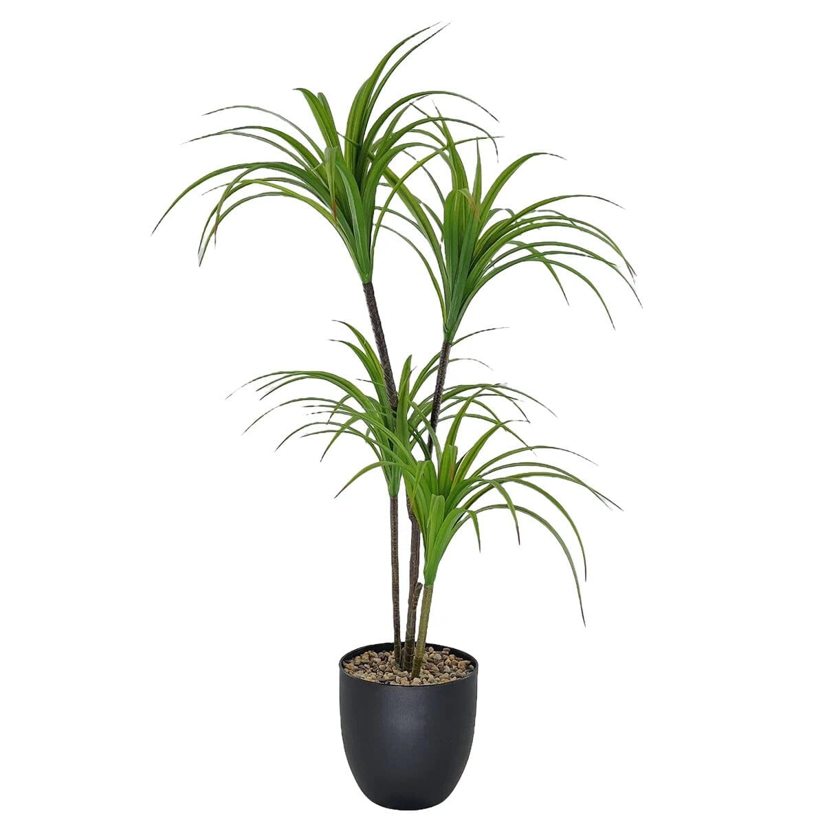 Dracaena Marginata Artificiel Haut de Gamme – 90 cm