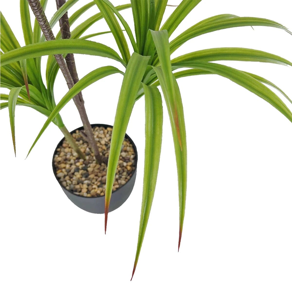 Dracaena Marginata Artificiel Haut de Gamme – 90 cm