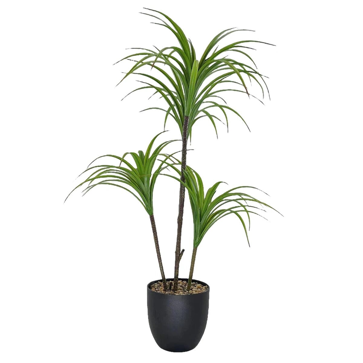 Dracaena Marginata Artificiel Haut de Gamme – 90 cm