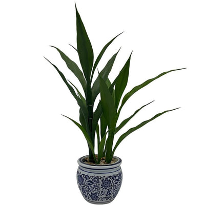 Dracaena Sanderiana Artificiel - 42 cm