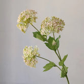 Fausse Hortensia - 74 cm