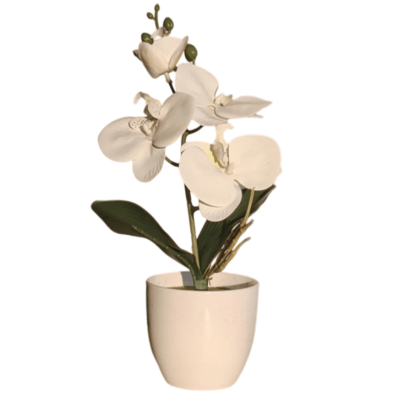 Fausse Orchidée Artificielle en Pot - 35 cm Blanc