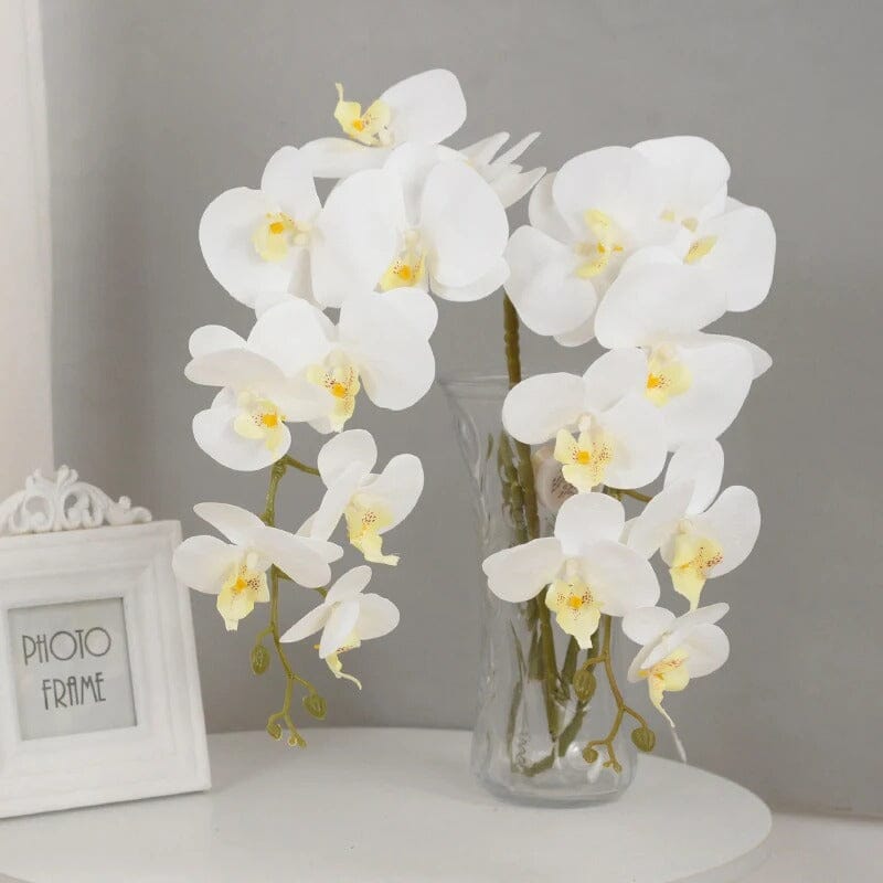 Fausse Orchidée Phalaenopsis - 100 cm (Grand Format)