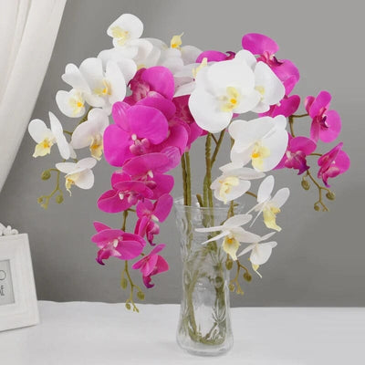 Fausse Orchidée Phalaenopsis - 100 cm (Grand Format)