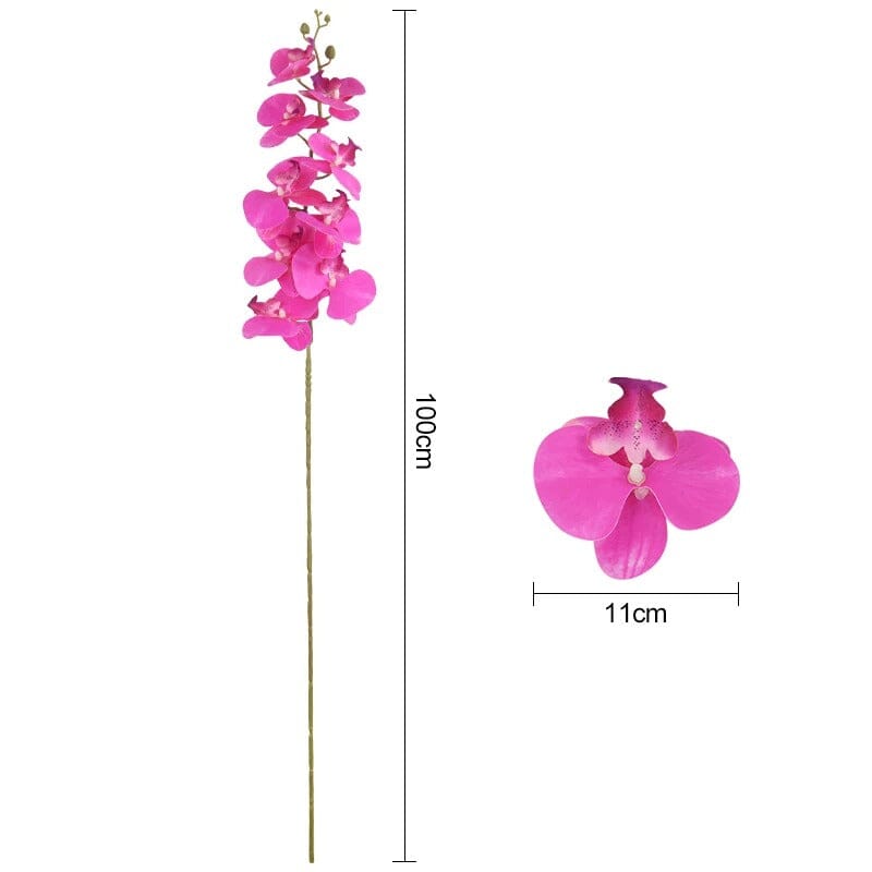 Fausse Orchidée Phalaenopsis - 100 cm (Grand Format)