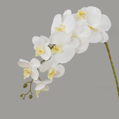 Fausse Orchidée Phalaenopsis - 100 cm (Grand Format)