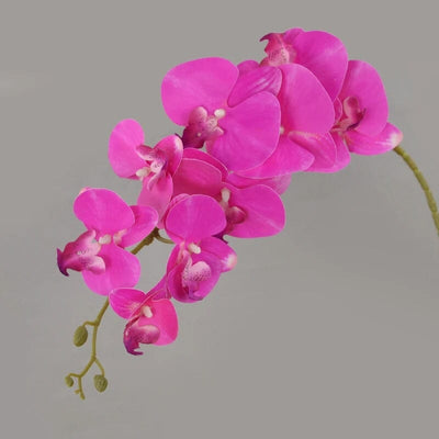 Fausse Orchidée Phalaenopsis - 100 cm (Grand Format)