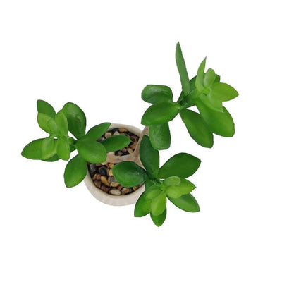 Fausse Plante Succulente Deco - 28 cm